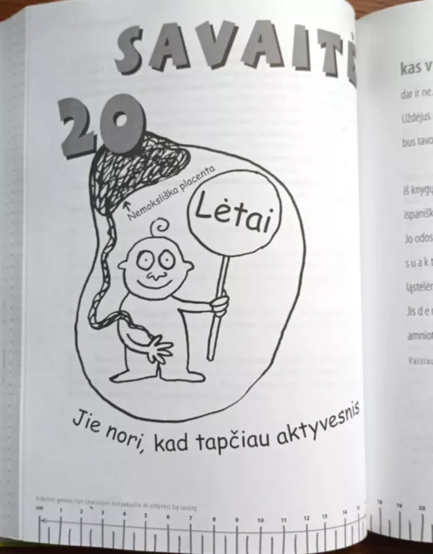 Du viename - Kaz Cooke, knyga 4