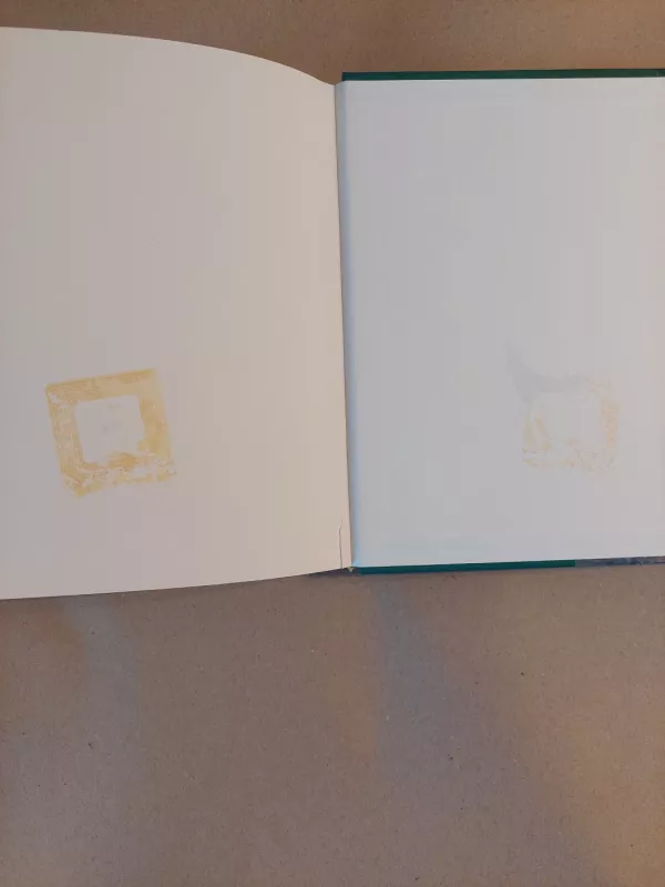 Klanų kariai Į tyrus - Erin Hunter, knyga 3