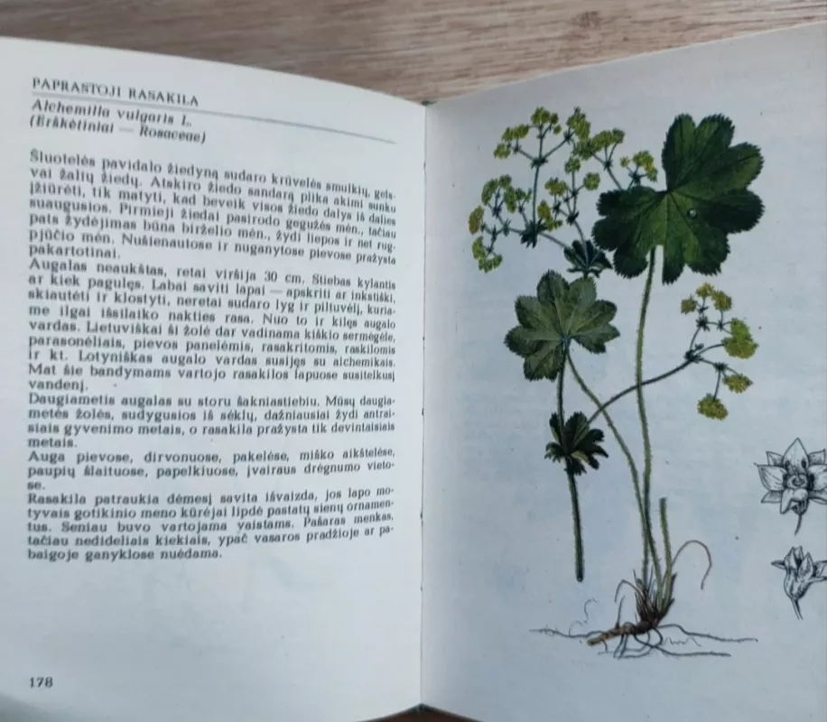 Pavasarį žydintys augalai. Vasarą žydintys augalai. Rudenį žydintys augalai - R. Jankevičienė, knyga 4