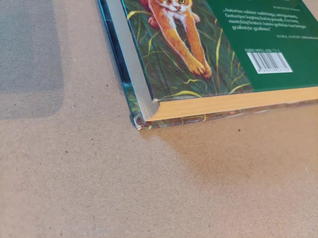 Klanų kariai Į tyrus - Erin Hunter, knyga 4