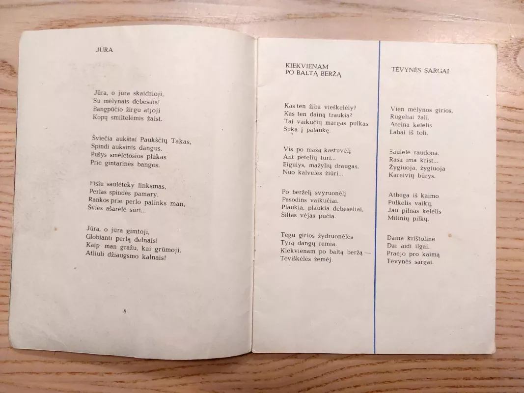 Saulės obuolys - Vytautas Skripka, knyga 4