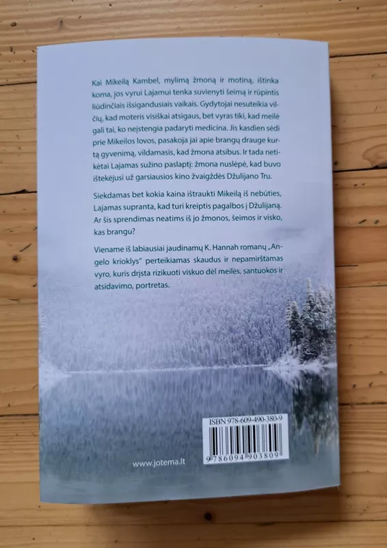 Angelo krioklys - Kristin Hannah, knyga 3