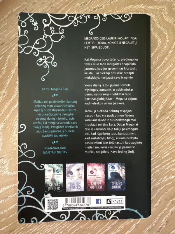 Geležies karalius - Kagawa Julie, knyga 3