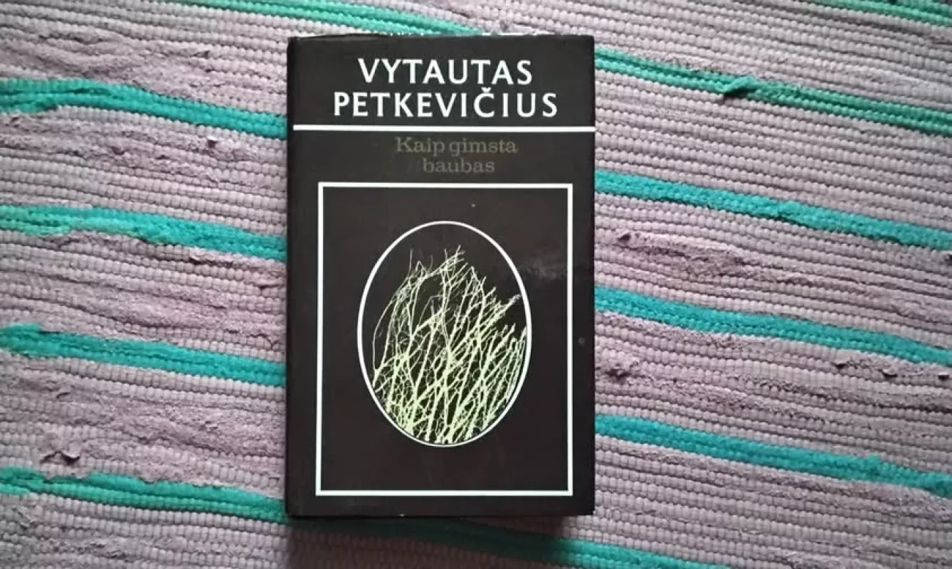 Kaip gimsta baubas - Vytautas Petkevičius, knyga 2