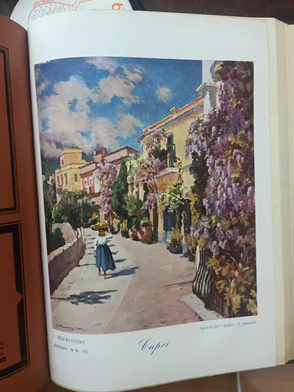 Gaisai 1930m.  6,7,8,9-10 numeriai - Įvairūs autoriai, knyga 4