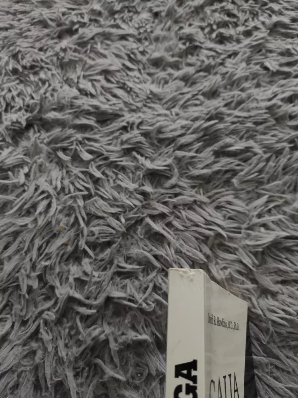 Galia ir jėga. Sąmonės anatomija. Neregimieji žmonių elgsenos faktoriai - David R. Hawkins, knyga 5