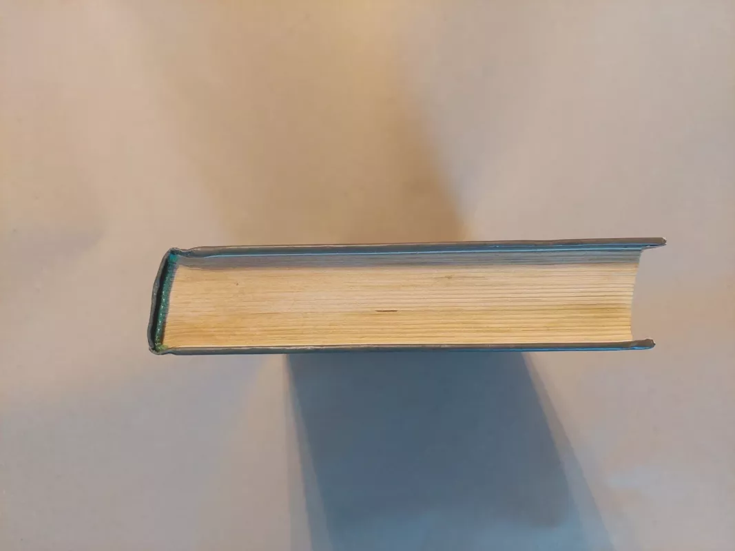 Morganos kryžius - Nora Roberts, knyga 5