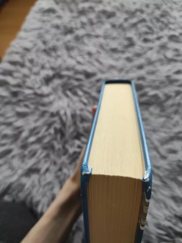 Močiutė perduoda linkėjimų ir atsiprašo - Fredrik Backman, knyga 3