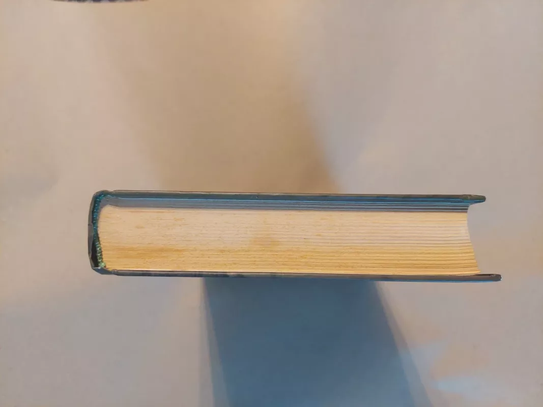 Morganos kryžius - Nora Roberts, knyga 4