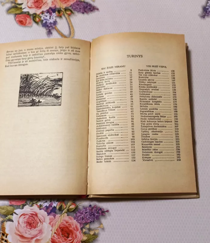 Didelis ir mažas - Vytautas Petkevičius, knyga 4