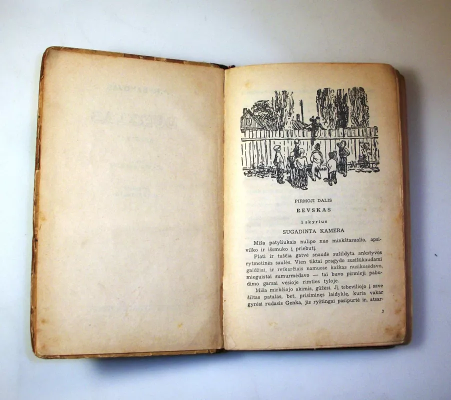 Durklas - Anatolijus Rybakovas, knyga 6