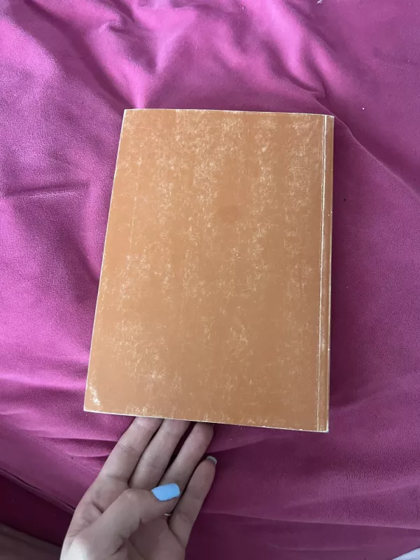 Palydint į amžinybę - B. Babrauskas, knyga 6