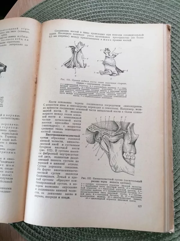 Anatomija - Gusev Sergejev, knyga 5