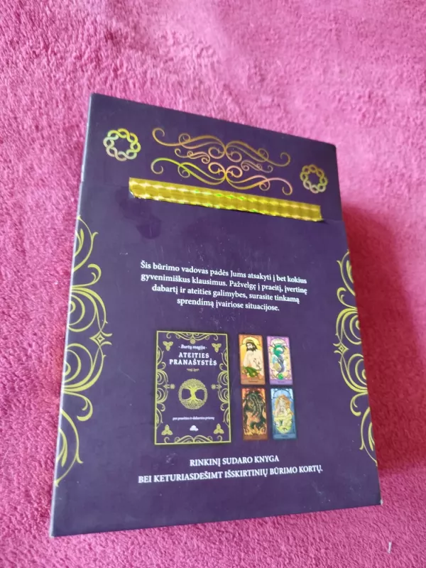 Burtų magija Ateities pranašystės - Brayan Hopkins, knyga 6