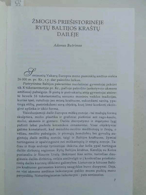 Europos dailė : lietuviškieji variantai - Juozas Galkus, knyga 5