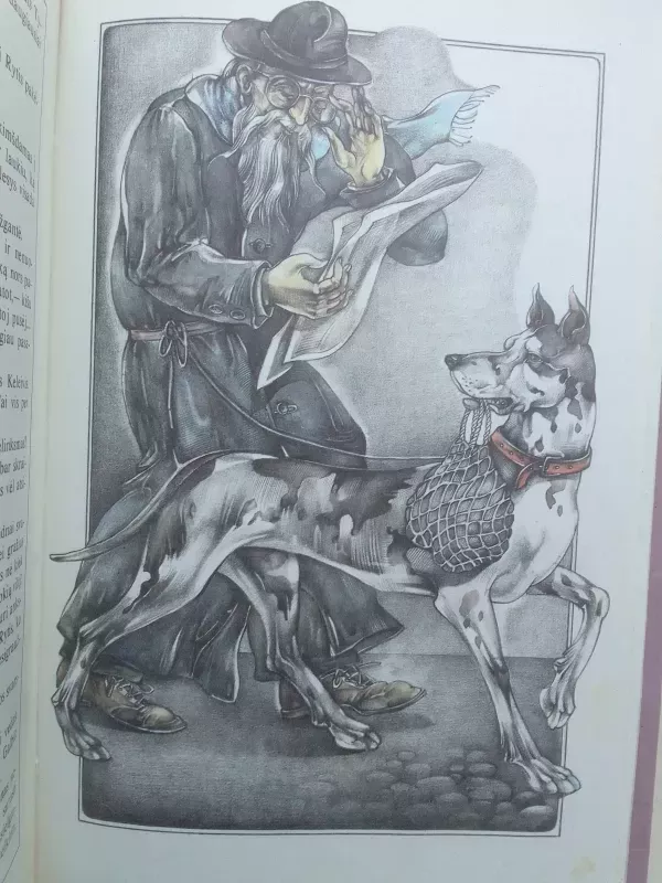 Gvidono apsiaustas - Kazys Saja, knyga 6