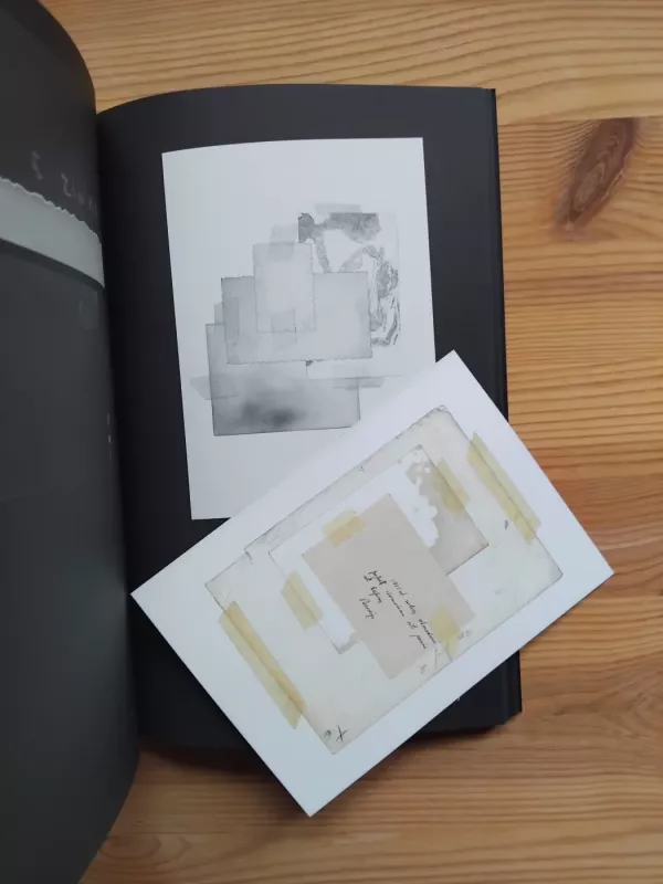 Nuožmi taika. Žlugusių režimų fotografija dokumentiniame kine - Natalija Arlauskaitė, knyga 3