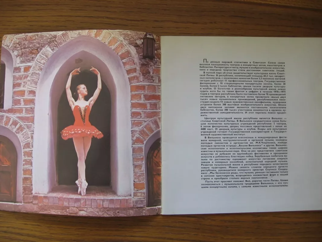 Vilniaus koncertų salėse - Įvairūs, knyga 3