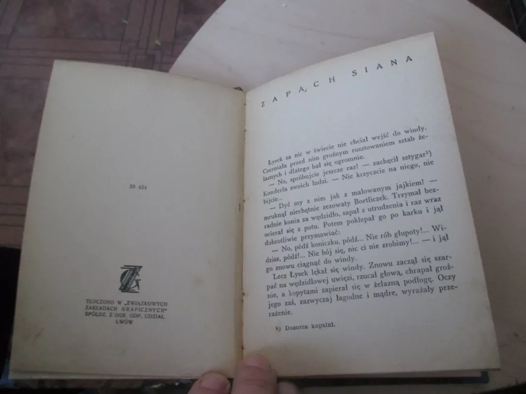 Łysek z pokładu Idy - Gustaw Morcinek, knyga 5