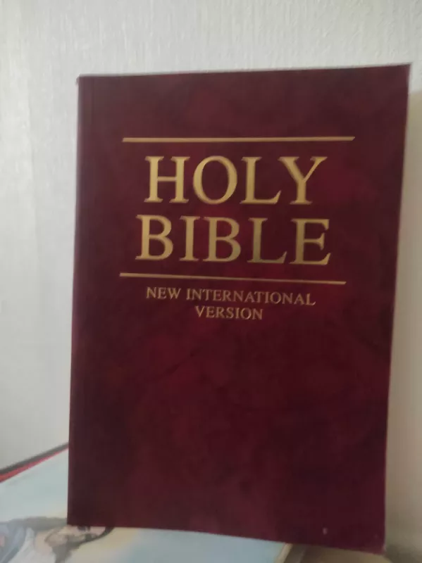 The holy bible - Įvairūs autoriai • Iš anglų kalbos vertė Violeta Palčinskaitė, Įvairūs, knyga 2