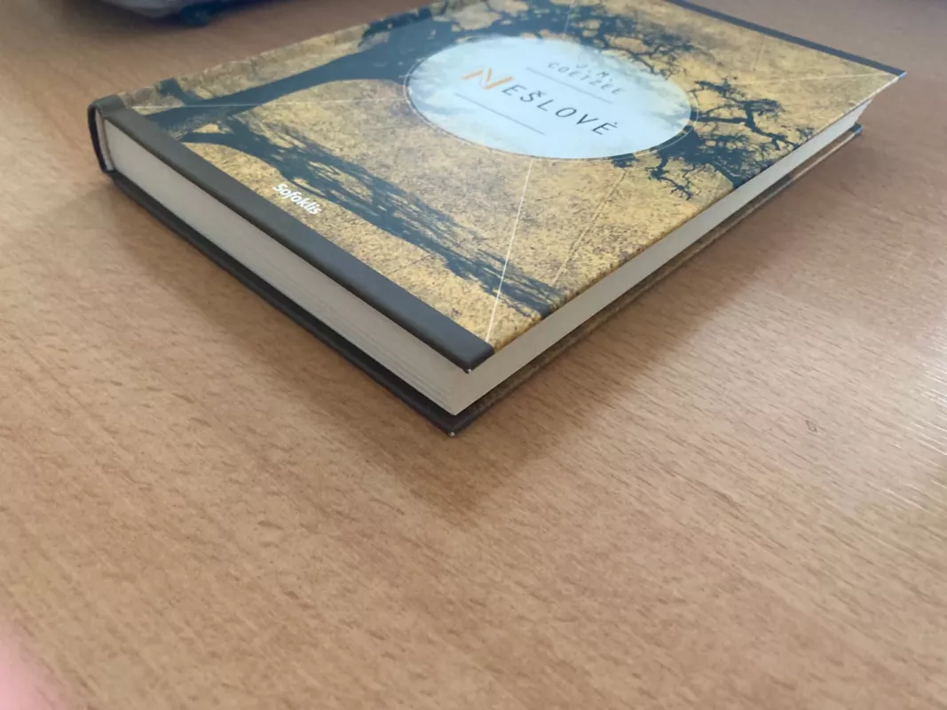 Nešlovė - J. M. Coetzee, knyga 4