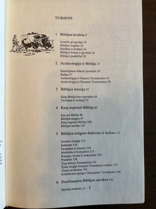 Biblijos enciklopedija - David Clines, knyga 6