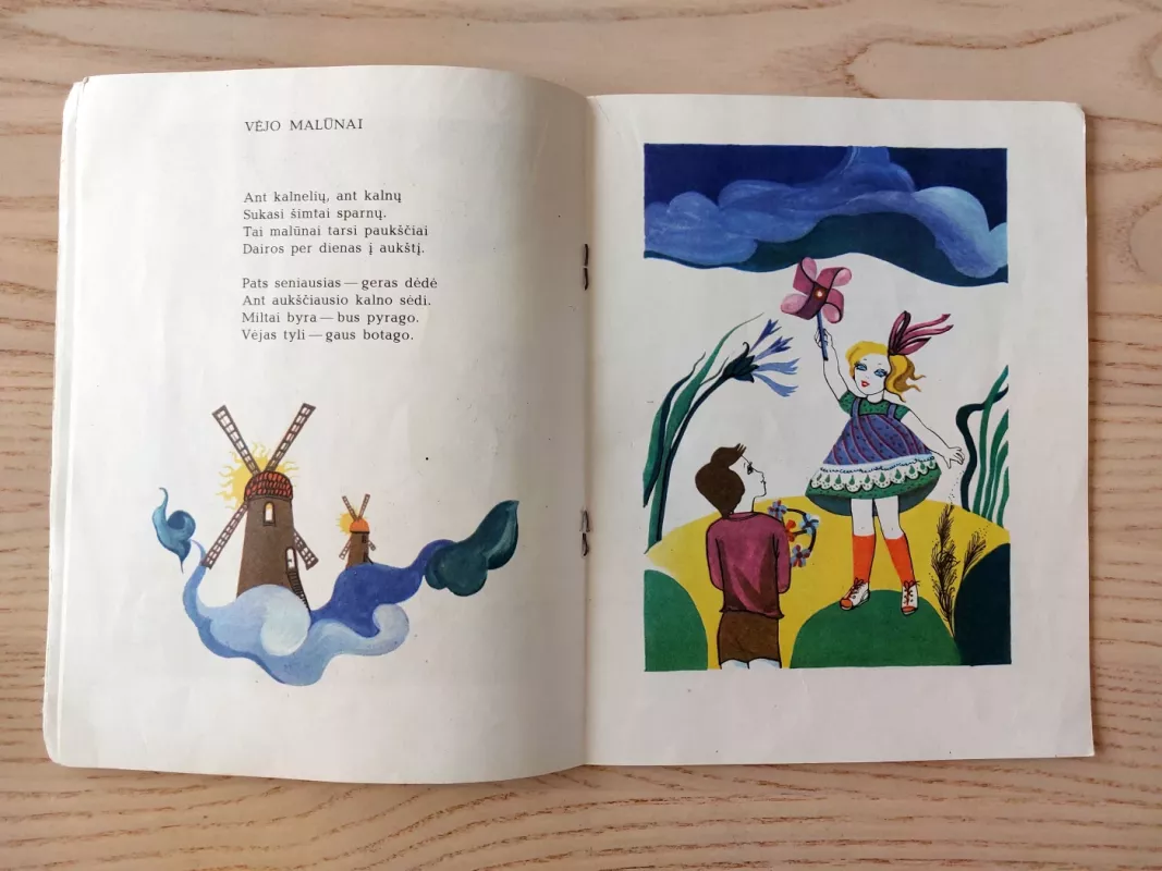 Smilgų choras - Nijolė Blaževičiūtė, knyga 6