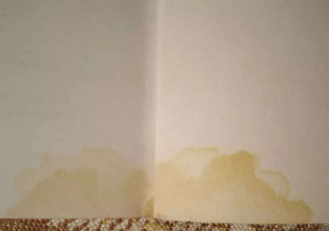 Finansų analizė - Eugenija Buškevičiūtė, knyga 4