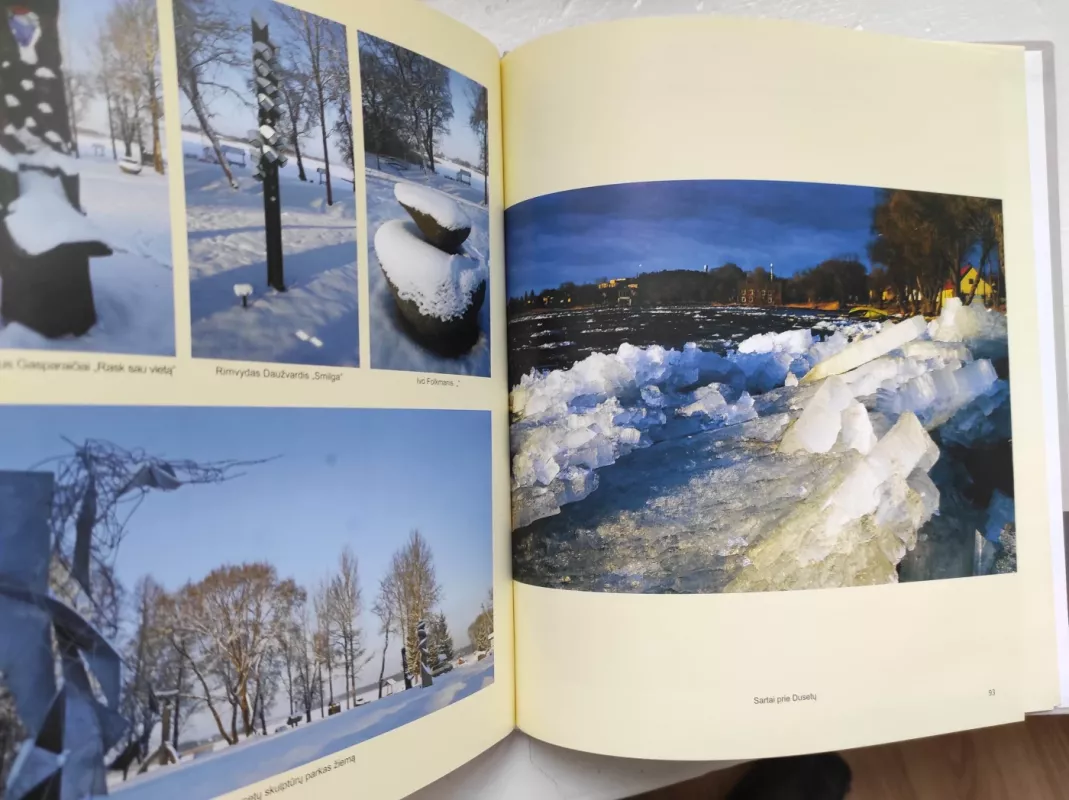 Dusetos seniau ir dabar - Įvairūs, knyga 5