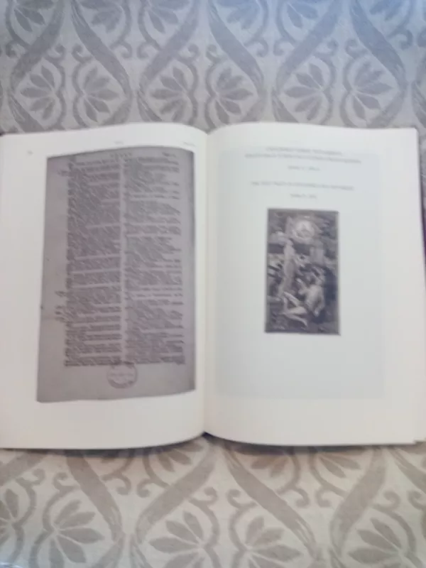 Samuelio Boguslavo Chylinskio Biblija. Senasis Testamentas I tomas - Gina Kavaliūnaitė, knyga 3