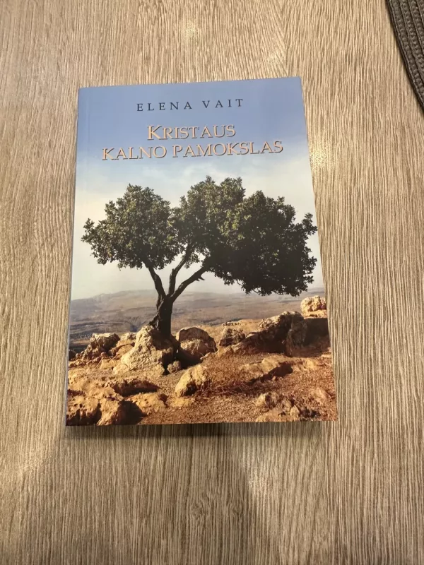 Kristaus Kalno pamokslas - Elena Vait, knyga 2