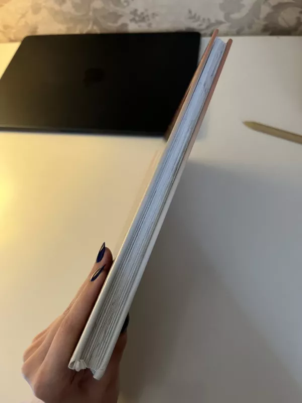 Broliu Grimų gražiausios pasakos -  Broliai Grimai, knyga 3