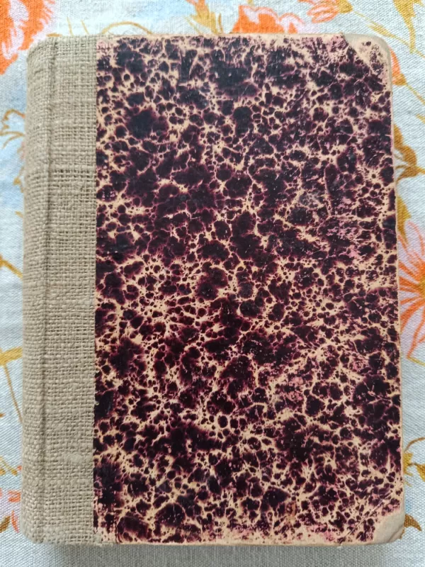 Vaižganto raštai IX tomas -  Vaižgantas, knyga 3