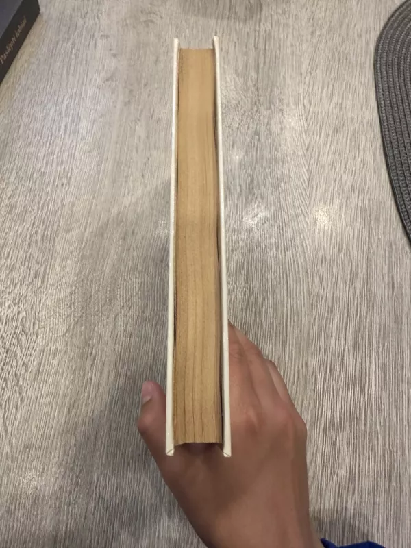 Lolita - Vladimiras Nabokovas, knyga 4