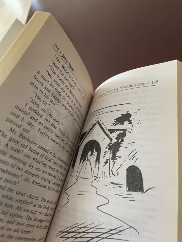 Jane Eyre - Charlotte Bronte, knyga 6