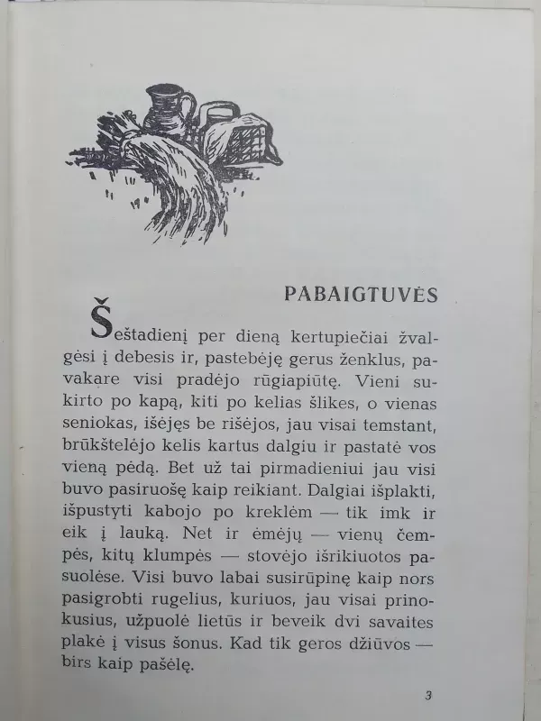 Sidabrinės šalnos - E Pabirzyte, knyga 6