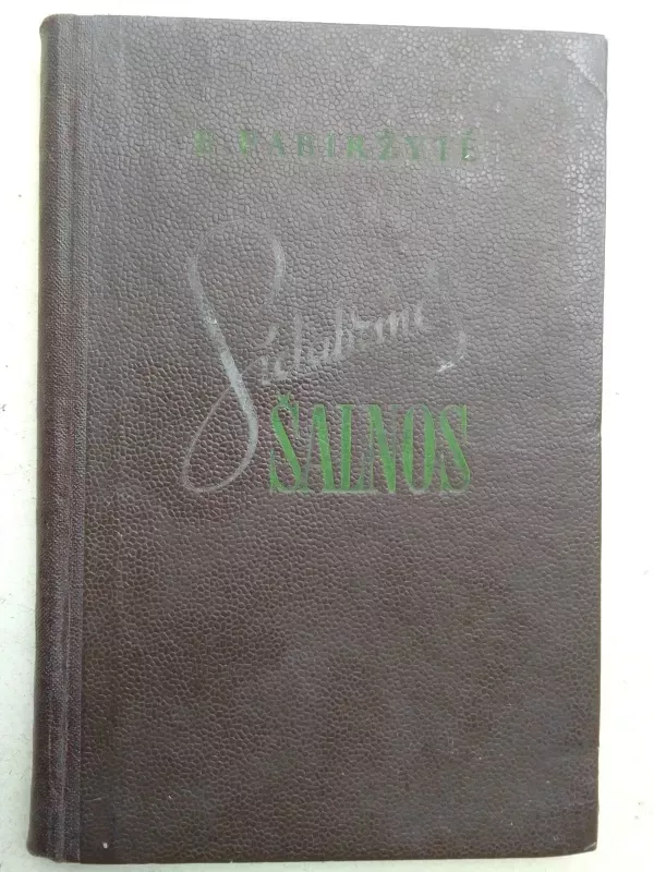 Sidabrinės šalnos - E Pabirzyte, knyga 2