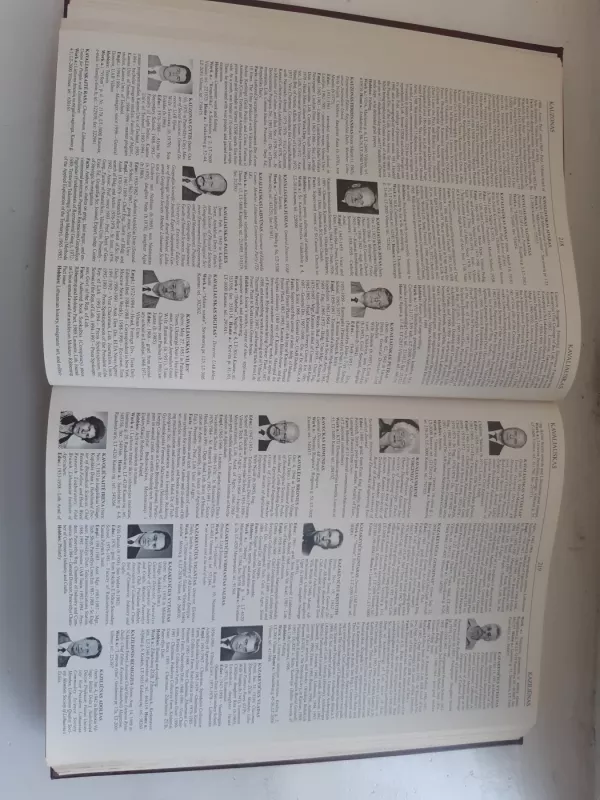 JAV lietuviai, I tomas, A-M - Autorių Kolektyvas, knyga 3