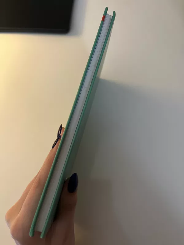 Pirmadienį viskas kitaip - Christine Nostlinger, knyga 4