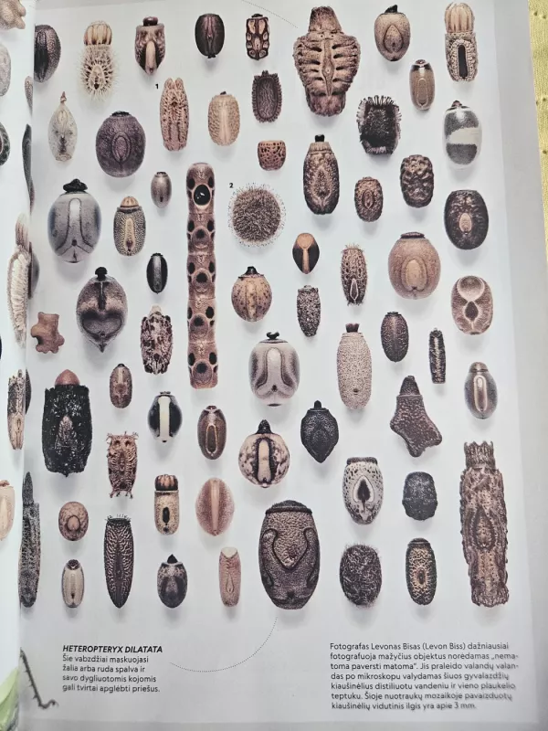 National geographic Lietuva 2023.11 - Autorių kolekyvas, knyga 4