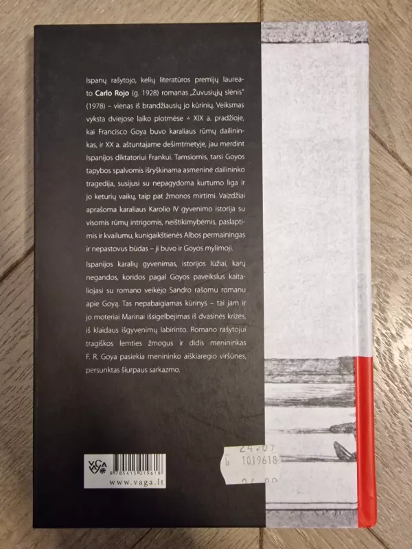 Žuvusiųjų slėnis - Carlos Rojas, knyga 3