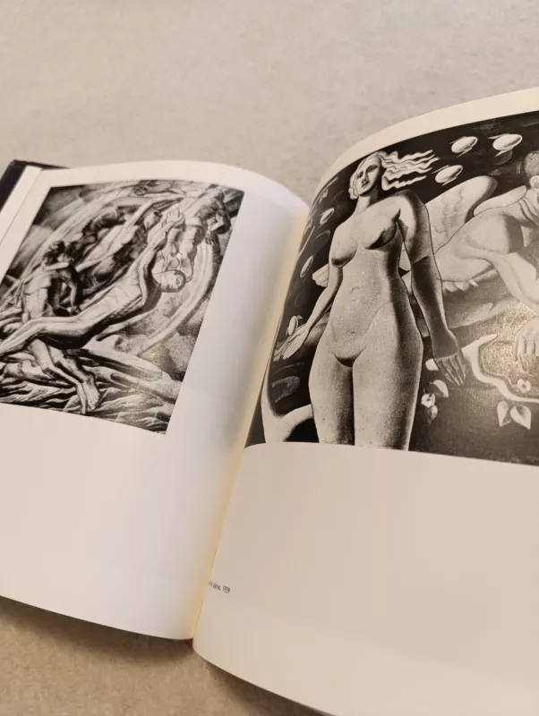 Stasys Ušinskas - Nijolė Tumėnienė, knyga 5