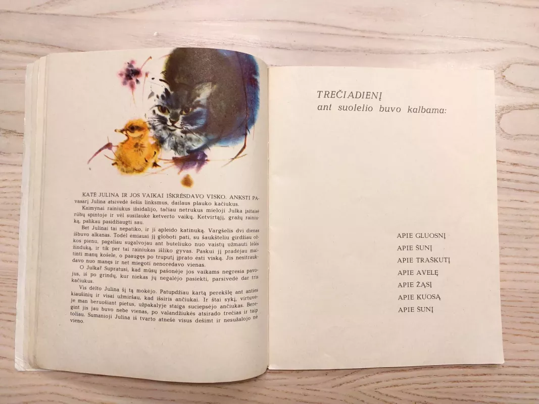 Pašnekesiai ant suolelio - Donatas Šaineris, knyga 4