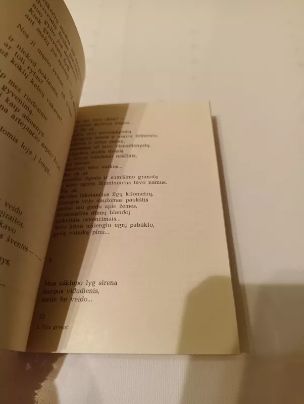 Tyla gyvent - Ramutė Girkontaitė, knyga 4