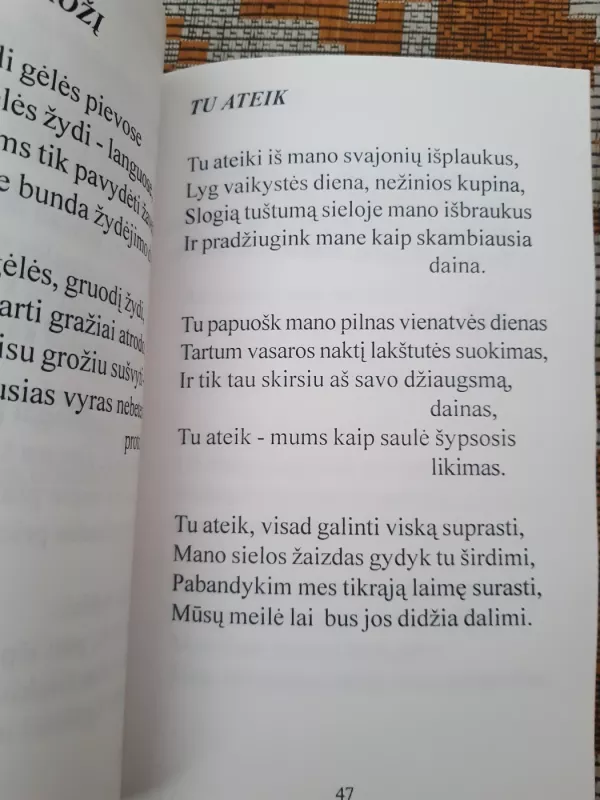 Laukimas - Valdas Sušinskas, knyga 5