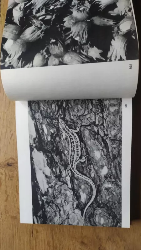 Lietuvos gamta - R. Budrys, knyga 4