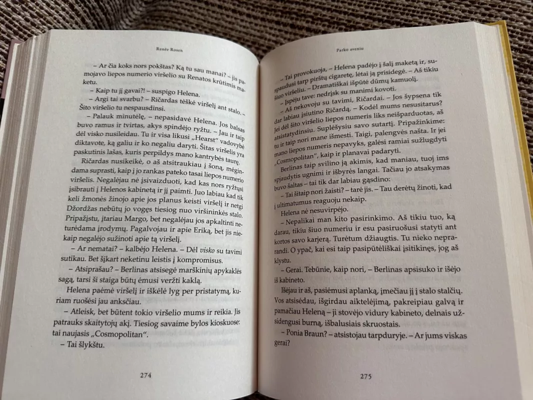 Vasara parko aveniu - Renee Rosen, knyga 6