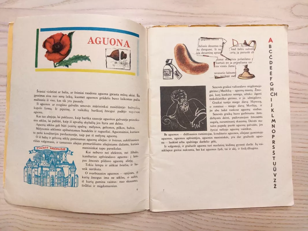 Sode augo, sveikatą saugo... - Nadežda Nadeždina, knyga 5