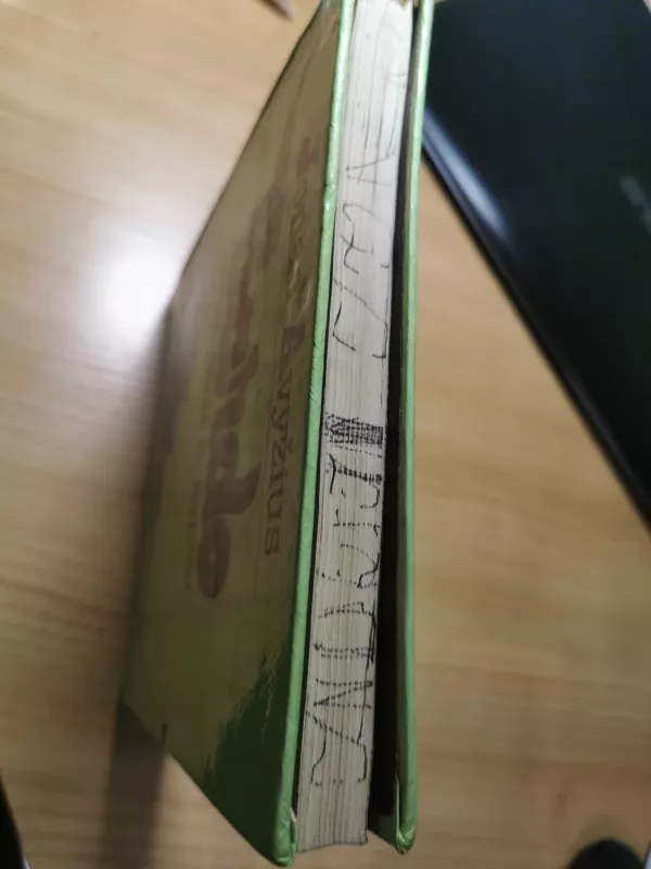 Bardo nuotykiai ir žygiai - Jonas Avyžius, knyga 6