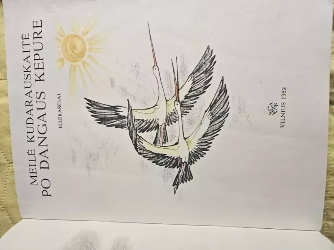 Po dangaus kepure - Meilė Kudarauskaitė, knyga 6